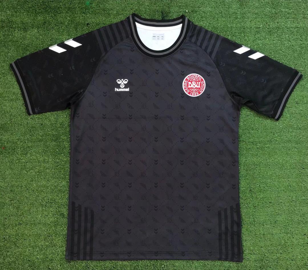 AAA Quality Denmark 21/22 GK Black Soccer Jersey